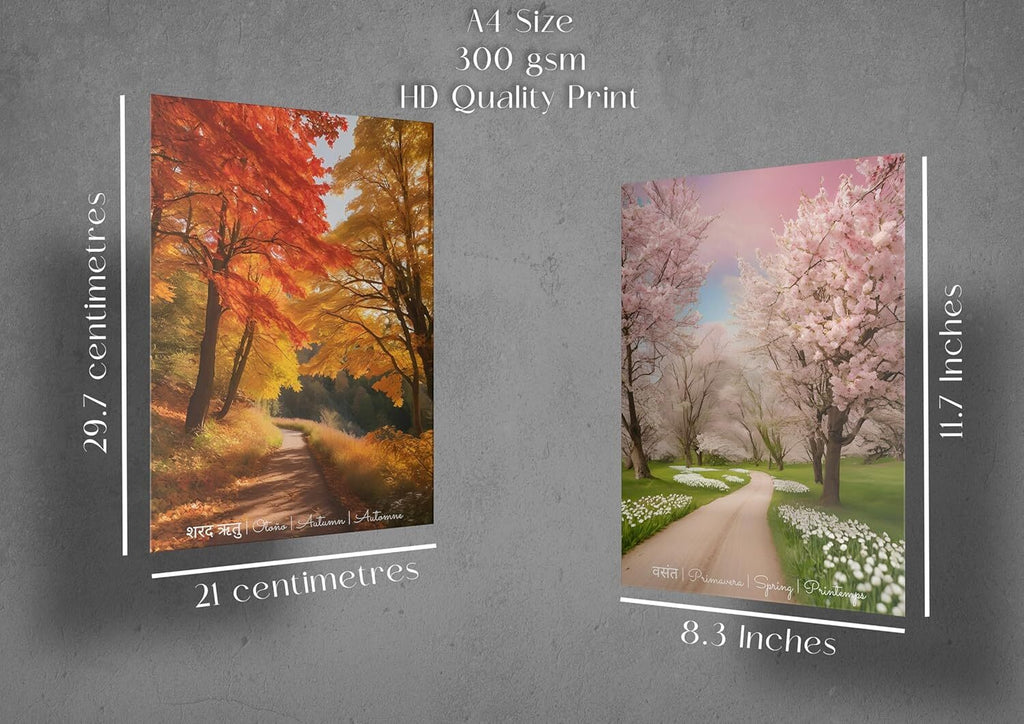 INUS Four seasons, English, Hindi, Spanish, French (Autumn, Summers, Winters, Spring) Wall Abstract Posters, A4 300GSM with Double Sided Tape and Free Stickers - (30 cm x 21 cm x 0.2 cm)(Pack of 4)